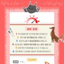 바른동물메디컬센터 이미지