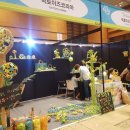 틱토이즈