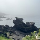 태광 카 | 제주공항근처 맛집 태광식당은 정말