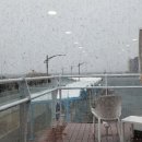 카페어달 이미지