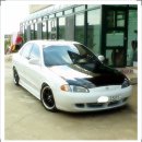 방방이네 이미지