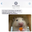 빵빵한 하루 이미지