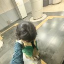 동그란,댕 | 충주 여행 | 청주 아니고, 사과의 도시 충주 (사과 안 먹음 주의)