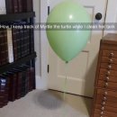 거북이집 이미지