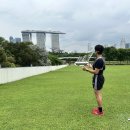 베이동물병원 | 싱가포르 러닝 여행 : 정글 속 어퍼 피어스 vs 마리나베이 야경 런 (카페/맛집 총정리)