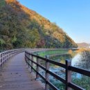 이동꿈틀도서관 이미지