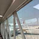 JAL 일본항공(JL092) 김포(GMP) - 도쿄 하네다(HND) 김네다 비즈니스 탑승 후기