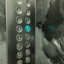 오푸스 | 청담피부과 오푸스 피부재생 레이저 리프팅 추천 후기