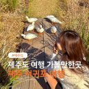 정방동-02 | 제주도 여행 가볼만한곳 제주 서귀포 여행