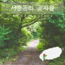 서광동리곶자왈 | 제주 서광동리 곶자왈 생태탐방로 안덕면 가볼만한 곳