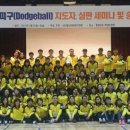 ◈ 2019 년도 피구(dodgeball) 심판및 지도자 승급심사◈ 이미지