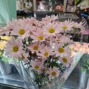 GS25 동의대자연대 | 24년 하반기 후기 上