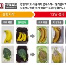 바이오 마스터 이미지