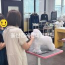 정애견미용학원 네이버블로그