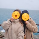 해피하우스 | 거제 둔덕 88횟집, 동백꽃은 지심도, 내돈내산