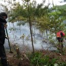 황간면사무소 이미지