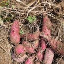 약수골 농장 이미지