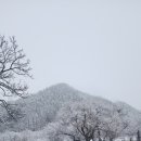 별동산달빛아래 이미지