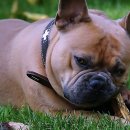 365일박사약국 | 홍제동에서 치과 찾기 완전 꿀팁 대방출임!!