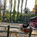 부메랑게임랜드 이미지