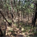 종철목장 이미지