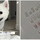 디디오네일Ddonail