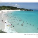 우림목장(2) 이미지