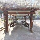 푸른공인중개사사무소 이미지