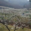 산이네농장 이미지