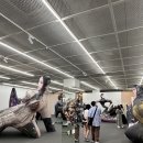 뉴타입매스 이미지