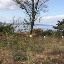 대부도 바닷가펜션 이미지