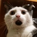 예본한의원 이미지