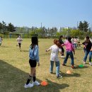 배곧누리초등학교 이미지