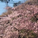 서종의 아침 이미지