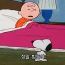 짜훠쇼푸