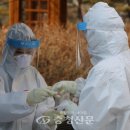 태안읍사무소 이미지