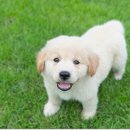 기장동물약국 이미지