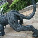 타이어사자 이미지