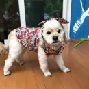 매네미 민박 이미지