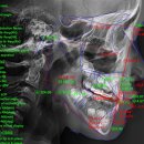 서울i치과의원 이미지