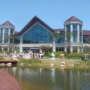 봉소초등학교 이미지