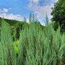 오성농원 이미지