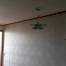 평화제일 이미지