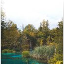 부평드림안과의원 이미지