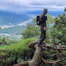 백두대간감자탕 이미지