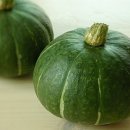 기체조(단전호흡) A 이미지