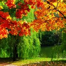 을의커피 이미지