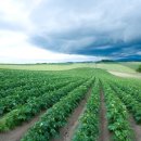 재현농장 이미지