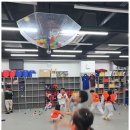 태비 태권도 이미지