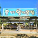 용문목장 이미지